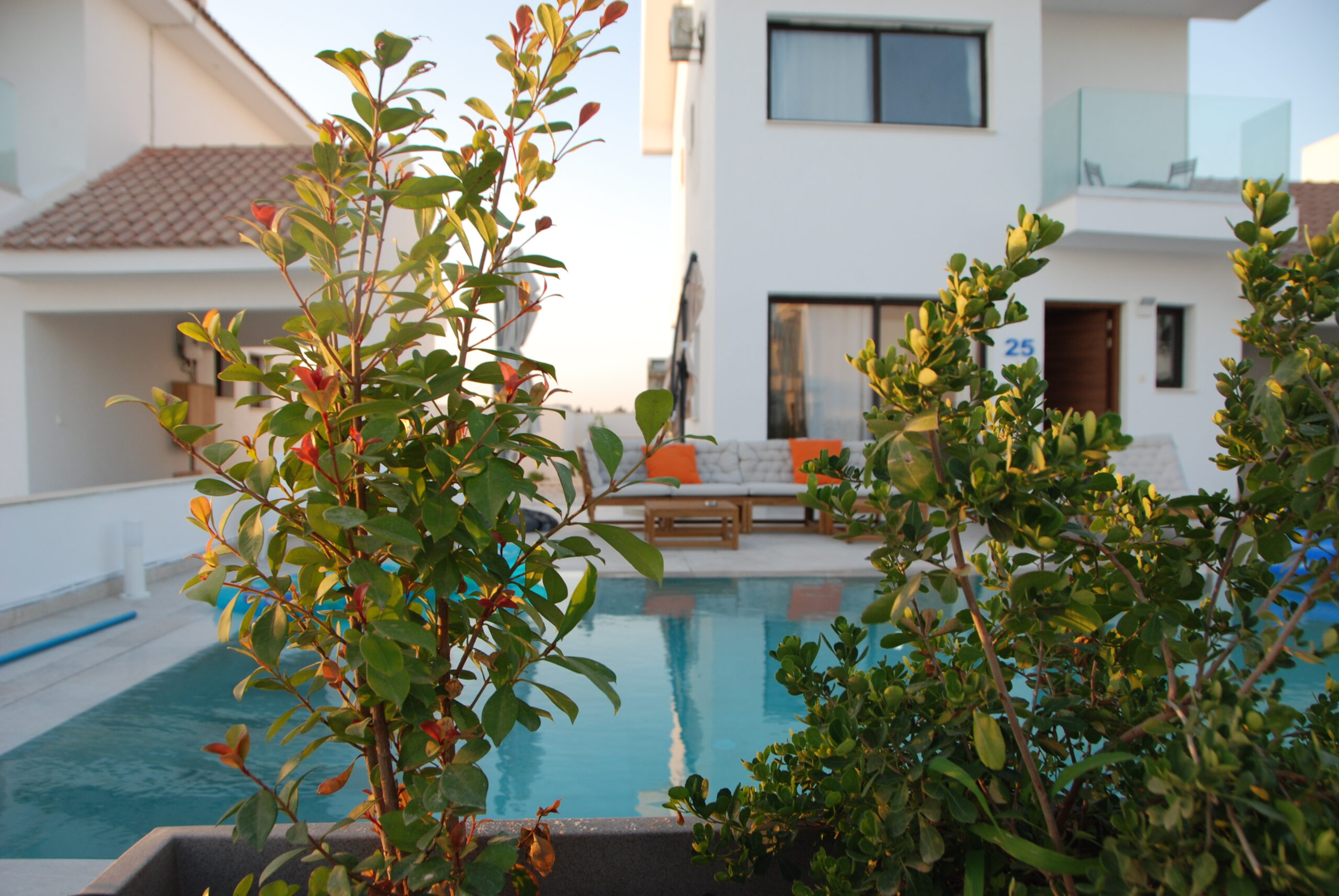 Garden view overlooking the private pool and modern architecture